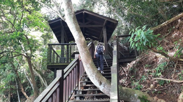 《新竹》青青石階｜娥眉藤坪步道及萬佛庵步道202509132883882