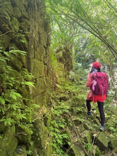 2025-08-30 豎旗山西北稜上-豎旗山-烏山古道西段下2874119