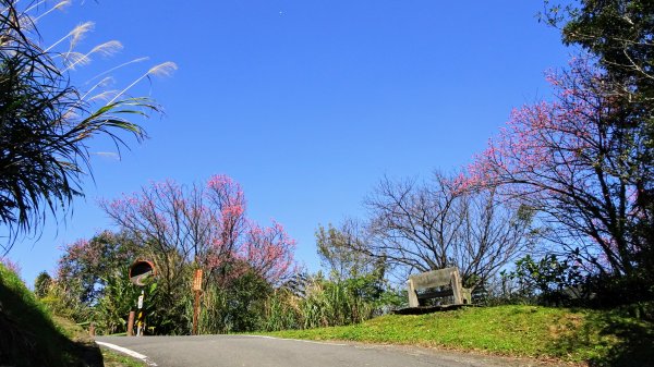 春天的顏色1279648