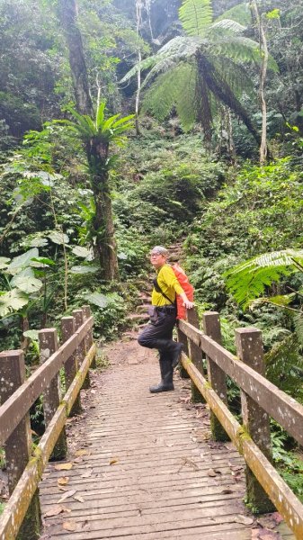 五指山走春3009590