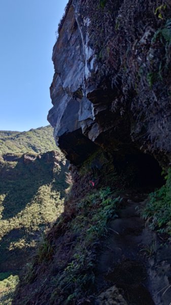 瑞芳小錐麓2714461