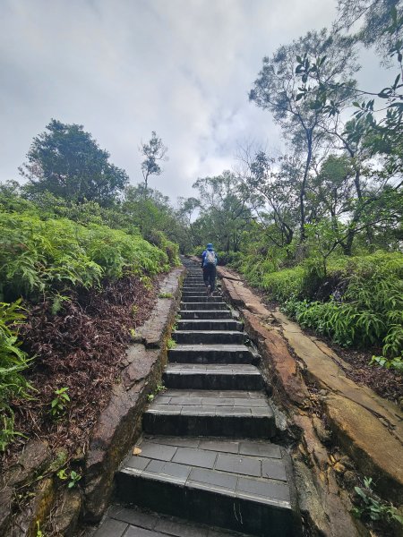 軍艦岩、丹鳳山親山步道3110713