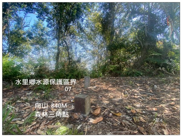 向山、向山遊客中心2747268