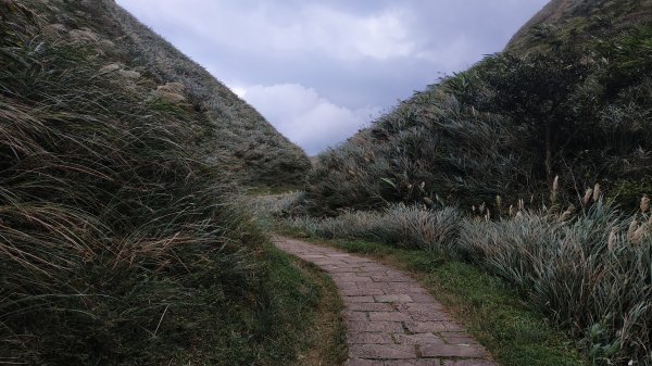 桃源谷+草嶺古道730525