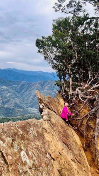 🌈12/28（日）北得拉曼神木+內鳥嘴山✨FB：熊熊趴爬走🌈2971298