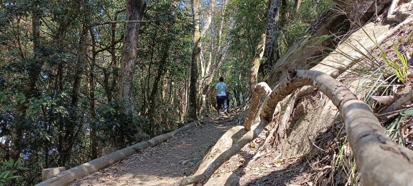 20220312_馬那邦山 細道邦山南峰 細道邦山1637068