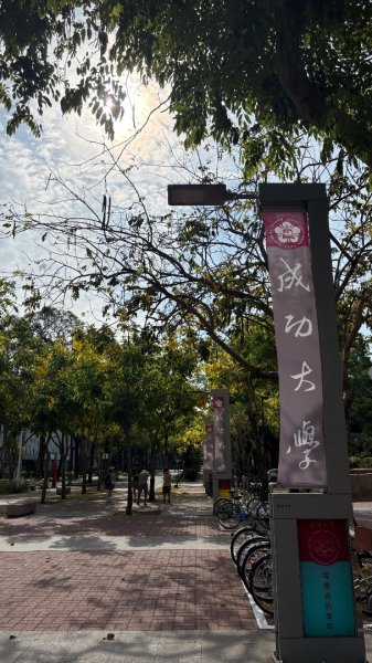 台南一日散策、尋找陽光與記憶的痕跡3055474