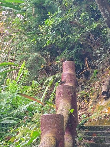 鳳鳴古道 鳳鳴山 南隘勇（南長城）古道 三湖山 八達嶺（龍骨）古道 綠色古道 延平古道2975274