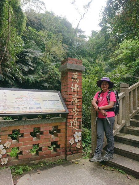 猿山、獅頭山O走1658143