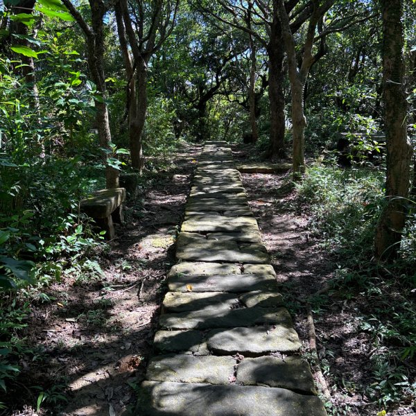 大崙頭山、大崙尾山2922664