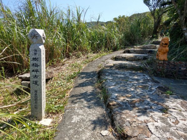 樹梅坪古道封面