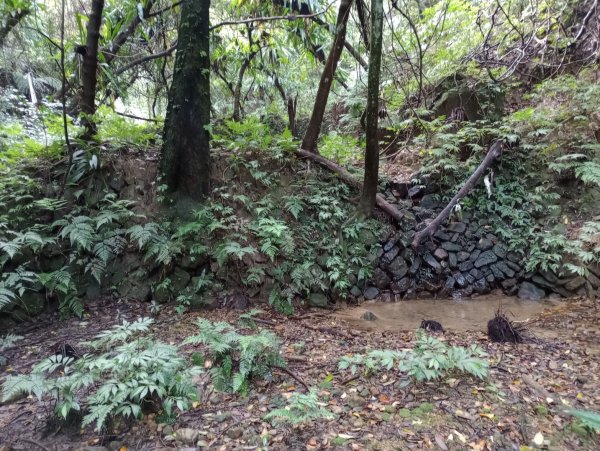 雷公埤山-鱷魚島觀景-小格頭獅頭山2001514
