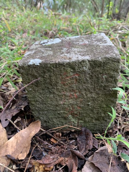 20250129高雄塔羅留山-塔羅留山南峰-他果晏山2705273