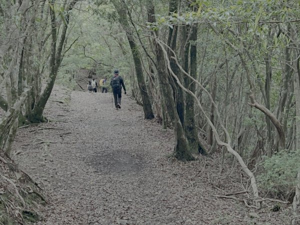 熊野古道參訪4日2805110