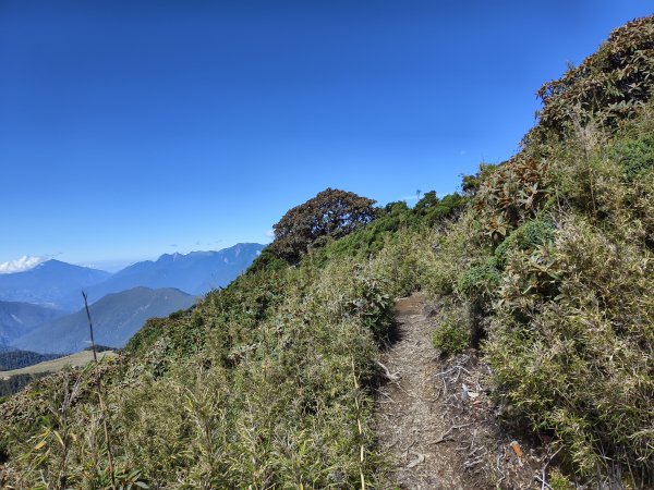 北一段(11/14)南湖北峰 2025_0906~132887342