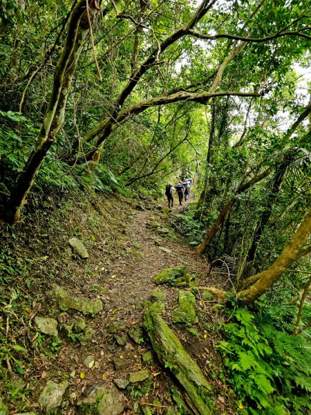 得卡倫步道2833840