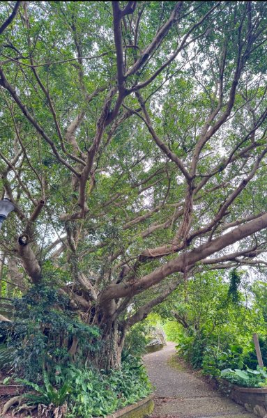 平溪步道縱走狗殷勤古道出故宮2852804