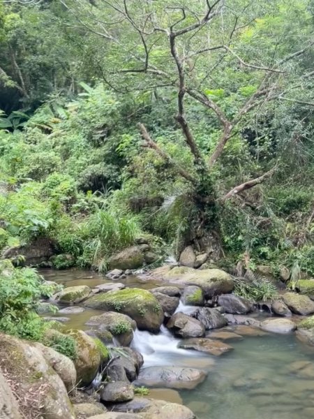 高遶溪古道/羅馬公路2844093