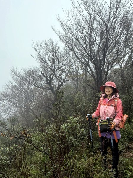 山毛櫸掉光光的 卡保逐鹿O繞 202511152937465