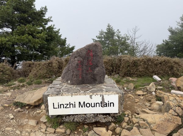[山海圳_聖山之路_第二段3/4] 2026_0802 麟趾山3109242