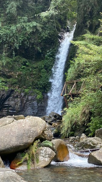 唐麻丹山加蝴蝶谷一日遊1851584