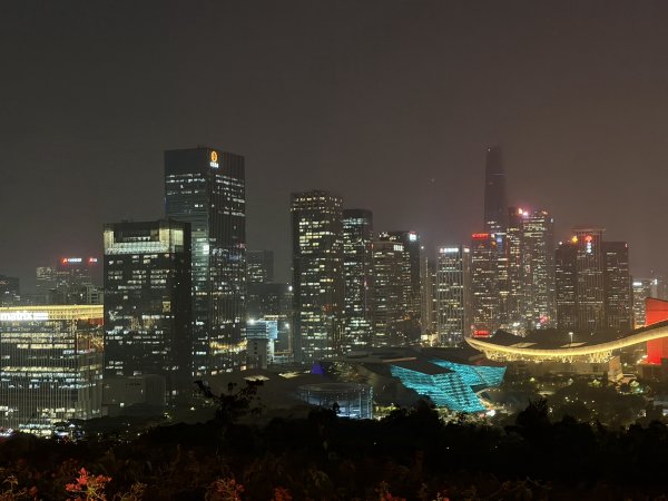 [茂名馬之行-13] 2026_0119 深圳夜景2997031