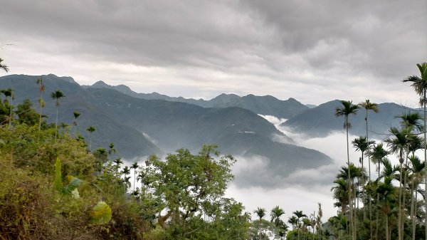 阿拔泉山稜線步道雲海1561755