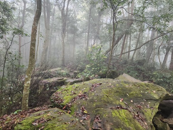 20230409那羅山、煤源山、大混山、道下山O型2141991