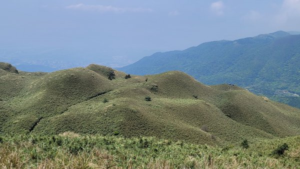 七星山主東峰登高望遠2117063