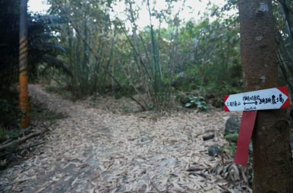 三腳南山登山步道2009914