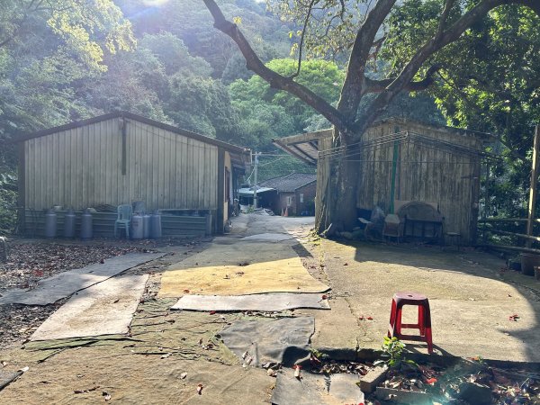 桃園金面山2752270