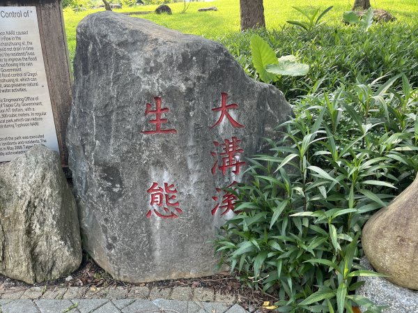 [跟著2025雙北世壯運探索雙北市-9/21] 2025_0615 越野探險徑（大溝溪治水生態園區－2815530