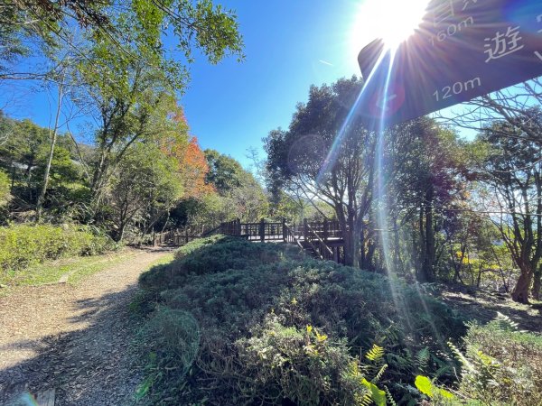 東眼山 自導式步道 三角點2975874