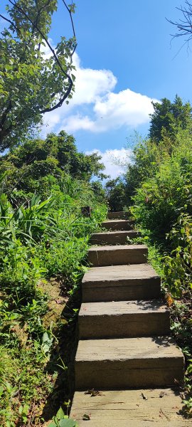 微笑山線：【大棟山系】百年大榕樹段2868491