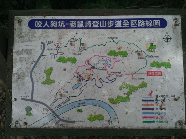 咬人狗登山步道-汪汪338707