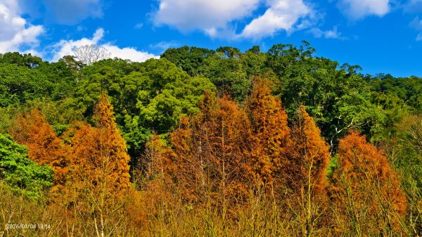 #花卉試驗中心 #永公路500巷 #平菁街42巷 #原住民公園 #士林官邸 1/42976532