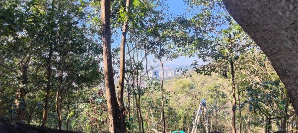 內湖金面山22690005