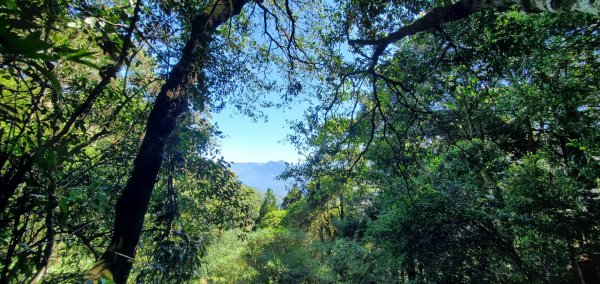 頂湖六連峰2167814