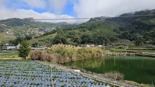 【馬年走馬山，馬到就成功！】🐴馬年馬路要走，馬那邦🏔️也要登！O繞11K，爬升900M，🥾腿在2977202