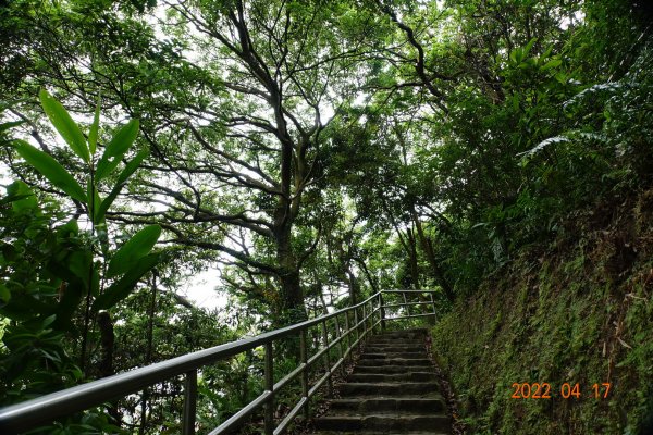 臺北 內湖 白鷺鷥山1680507