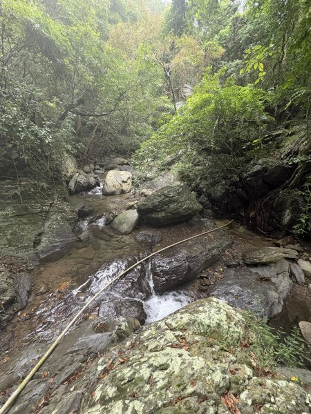 20251129女仍山步道2951785