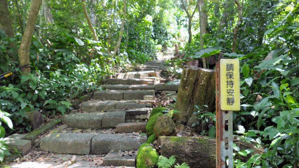 內冷水坑山,青龍嶺,大尖山,新加坡山,牛埔頭山,二尖山2569760