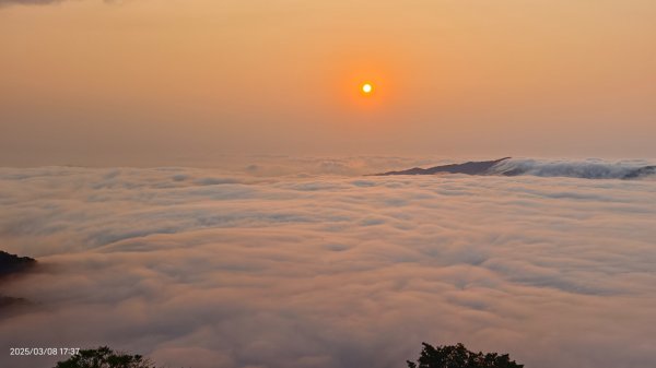 #馬那邦山 #夕陽 #雲海 #雲浪 3/82730358