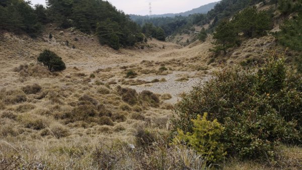 巴庫拉斯，七彩湖1339129