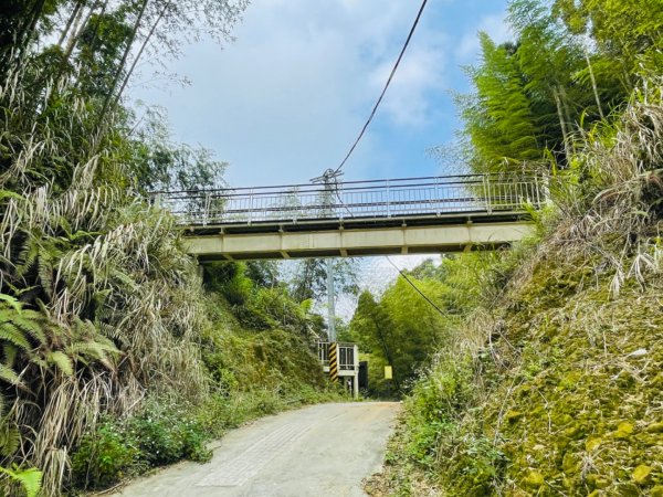 1111005番子田山｜雲嶺之丘-五元二角-木馬古道-石壁之眼1867605