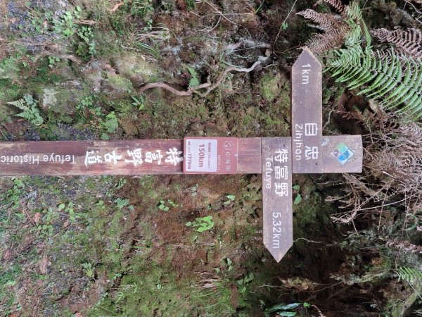 嘉義二延平，特富野步道