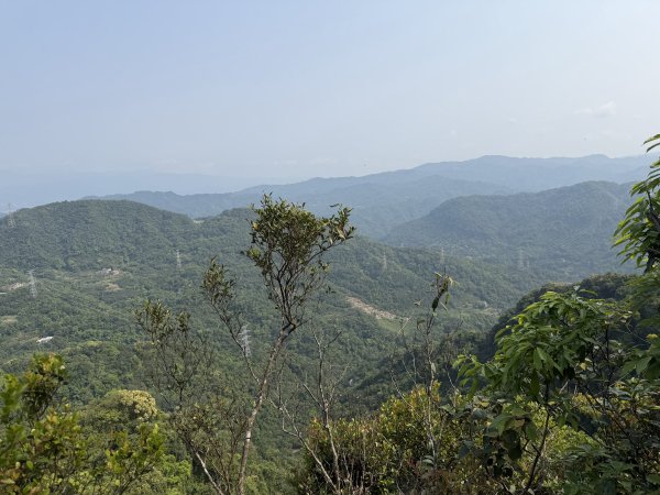 [微笑山線_第八段] 2026_0411 二格山系_炙子頭山3035077