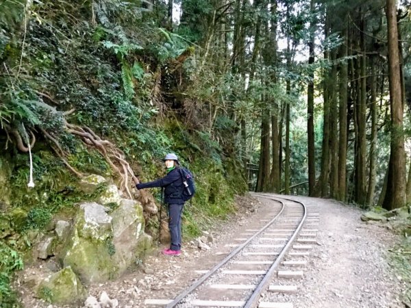 自忠上東水山連走特富野古道1244606