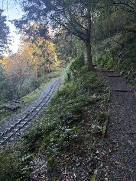 20251225塔山步道(大塔山)2970279