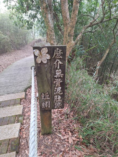 劍潭古道202503122734300